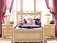 Кровать Polvere Di Stelle art.PS210